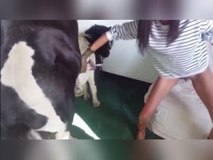 Beautiful Girl and Horse - Extreme Zoophilia Video