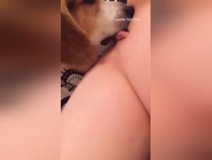 Bestiality: A woman subdues her dog