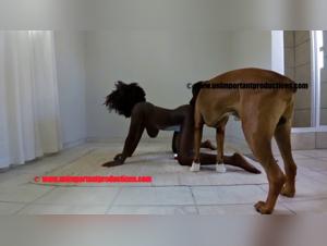 trans woman wild dog sex, intense passion