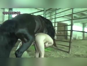 Compilation of Exciting Mares - Hard and Extreme Bestiality Videos