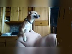 Milf and dog: a beastly encounter