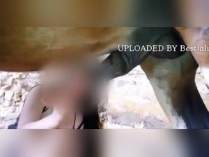 Slut Fucked by Dog - Extreme Porn Videos