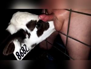 Salope baise chien Hardcore - Partie 1