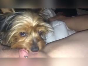 Bestiality: a young woman and her dog