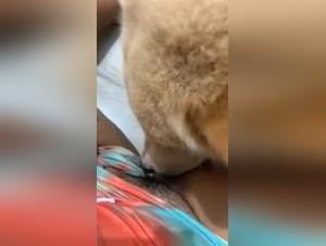 Zoophilia video with Kimlee0017 and her dog