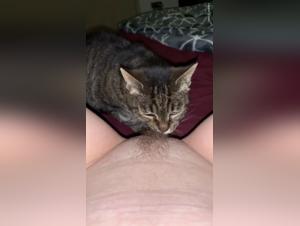 Kitty's Intimate Moment with Her Furry Friend