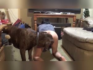 billionaire dog beastiality