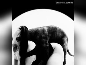 Denise Frazier's beastiality with her dog: the hottest free video