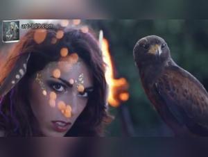 exploration of animal pleasure