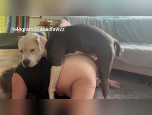 Animal Sex at Home, Amateur Sex