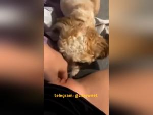 Dog Licks Pussy Nonstop