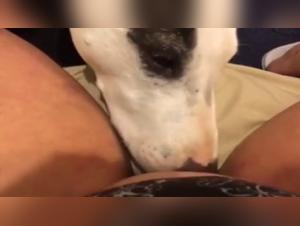 Video of Sex with a Dog