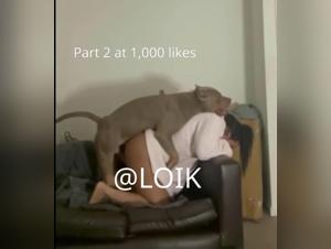 Animal Exploitation : Controversial Videos