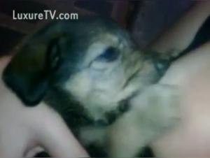 Woman breastfeeding a puppy: a shocking scene of zoophilia