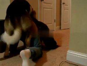 Woman and dog: a story of sex and pleasure