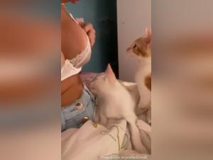 Mc Pipokinha and his bestial adventure