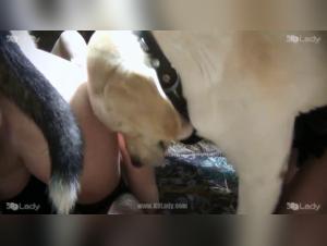 Extreme Bestiality: Zoophilia Video with a Dog