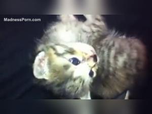 Woman and Dog: A Forbidden Encounter