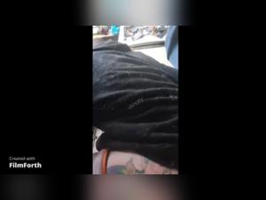 Bestiality Sex: A Fun Day with a Dog