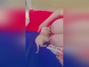Bébé Chien : allaité par une femme