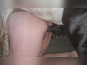 Exploring the Moral Boundaries of K9 Sex