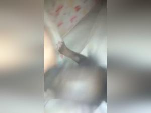 allaitement canin: une pupe sur le lit
