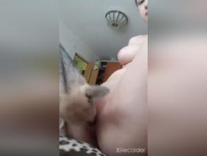 Puta con grandes tetas succiona a su perro