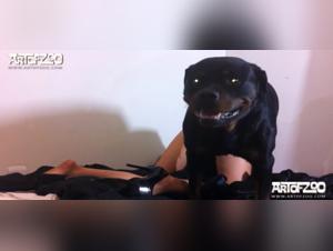 Bestiality: a woman and a dog in an extreme sex video