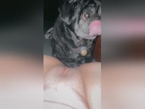 traumatisiernde tierliebe befriedigung