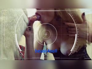 Exploring Animal Fantasies