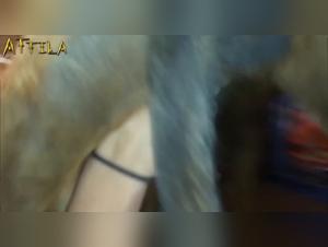 Zoophilia Video: Rubia Rusa en Escándalo Sexual con Perro