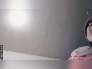 High-quality zoophilia resources