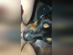 tierisch saures lick videos extreme