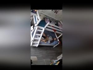 Dog IP Cam Part2