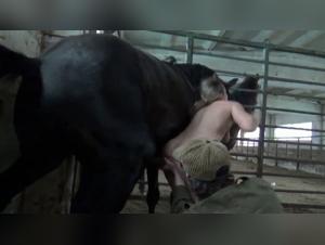 Forbidden Animal Desires