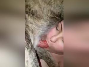 Gorda Babe con Gran Senos Acaricia Perro