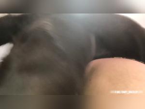 Dog Fuck Girl 3 - Slut Submits to Dog