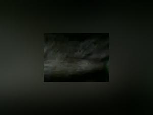 Intimate Moment with my Four-Legged Best Friend