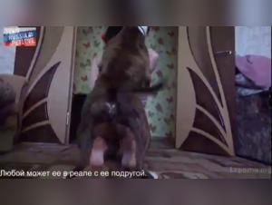  goûte sauvage :  femme défonce chien