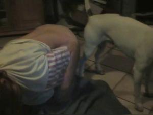 Bestiality sex videos featuring women and dogs