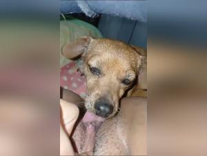 Unveiling the Forbidden: Onlyfan Zoo