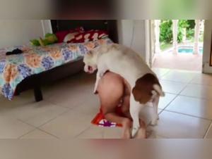 Unsatisfied wife seeks comfort in shocking bestiality video