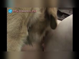 Zoophilia Video: Intimate and Shocking Moments