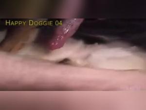 Extreme Intimacy: Female Dog and Partner