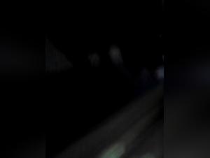 Forbidden Meeting: Woman and Dog