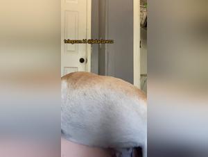 Mom dog fucks pregnant bitch