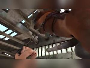 Bestiality: a woman and a horse with a strapon