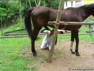Milf noire baise cheval