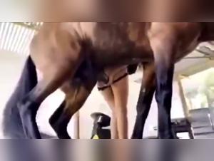Ragazza cede al desiderio animale, passione sfrenata