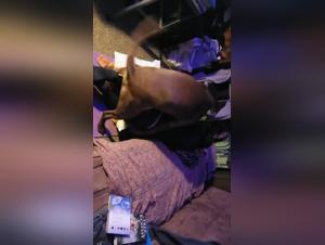 Sex with Dog Video: Amateur Dog 19